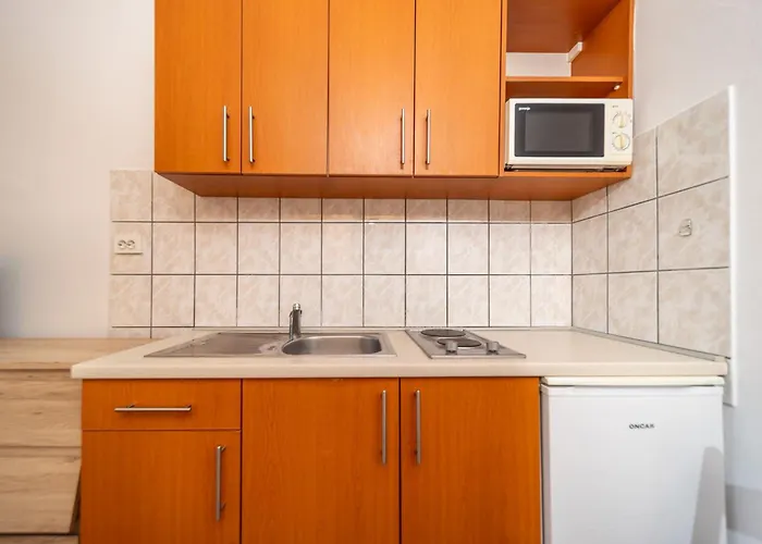 Pet friendly Apartments By The Sea Barbat, Rab - 14512 Rab Town