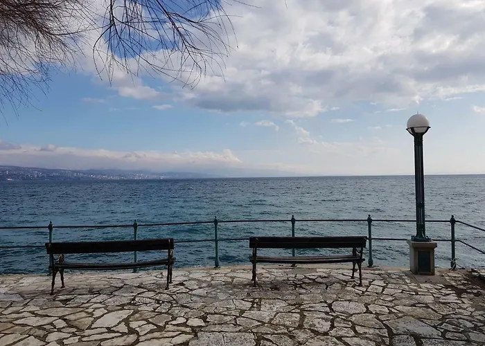 Sunny Apartment 150 M From The Sea Opatija acceptant les animaux