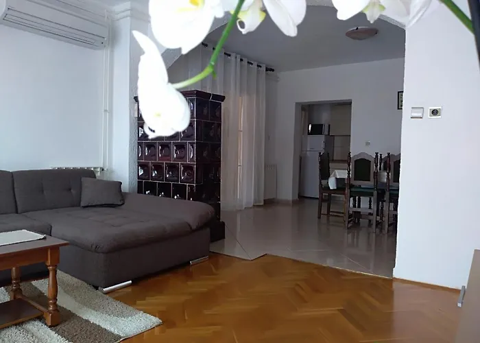 Pet friendly Apartments Villa Jagoda Kampor